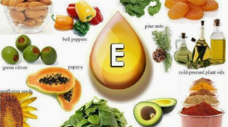 wellhealthorganic.com:vitamin-e-health-benefits-and-nutritional-sources