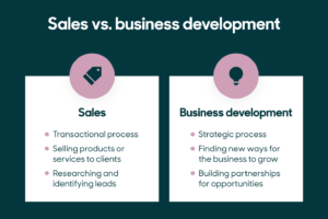 What is Business Development?