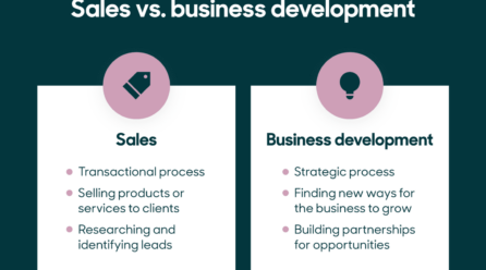 What is Business Development?